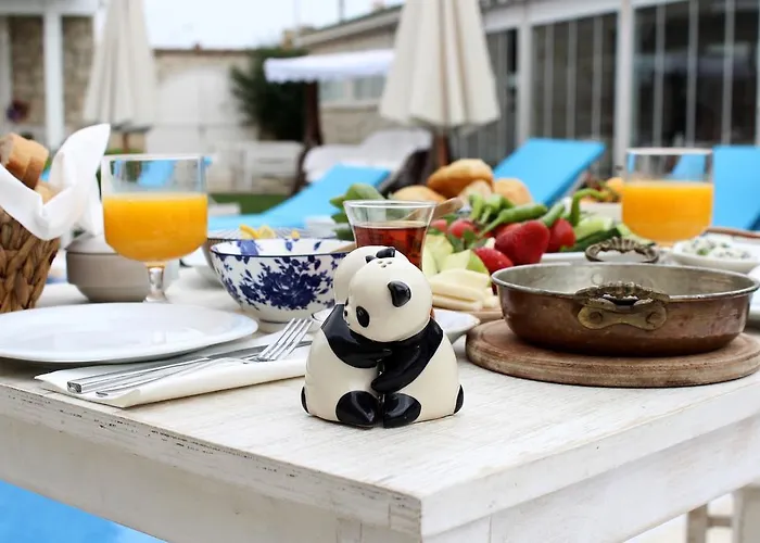 Panda 3* Alaçatı