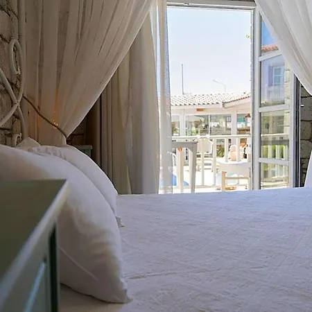 Hotel Panda 3*