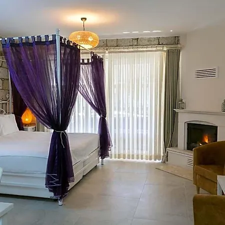 Panda Hotel 3*