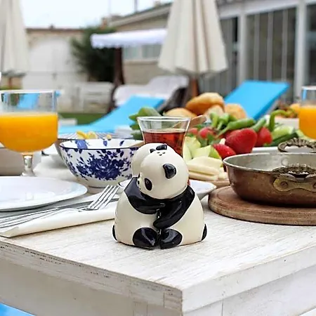 Panda Hotel 3*